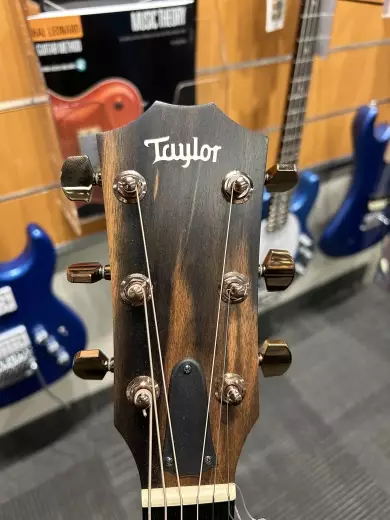 Taylor Guitars - 224CE-K DLX V1 4