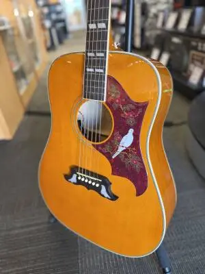 Epiphone - EASDVANNH 2