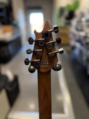 EVH - Wolfgang Exotic 2