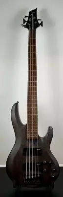 ESP-LTD 205SM Bass 2