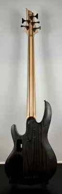 ESP-LTD 205SM Bass 4