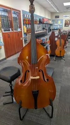 Dvorak Upright Bass