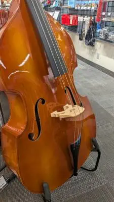 Dvorak Upright Bass 2