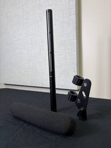 Store Special Product - Apex - APEX176 Shotgun Microphone