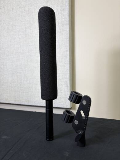 Store Special Product - Apex - APEX176 Shotgun Microphone