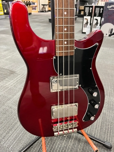 Epiphone - Embassy Bass 2