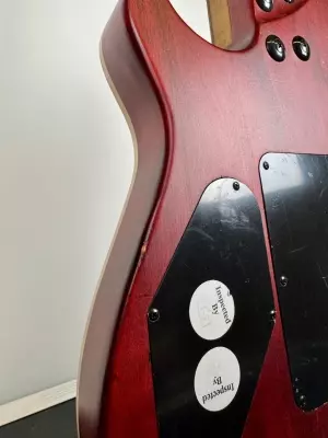 EVH Wolfgang Standard Exotic Bocote 2