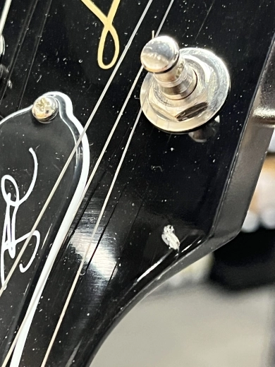 Gibson Billie Joe Armstrong Signature LP Jr. 2