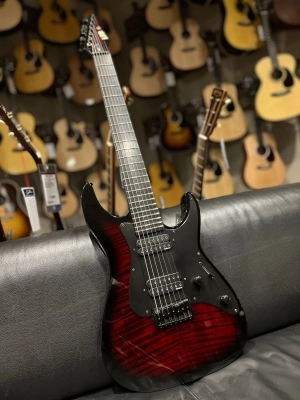 ESP LTD ALEX WADE SIGNATURE 2