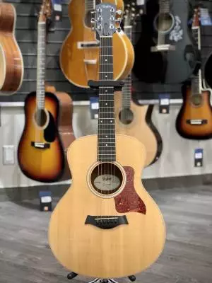 Taylor - GS MINI-E