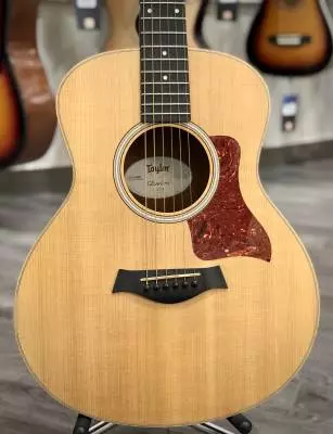 Taylor - GS MINI-E 2