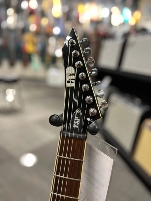 ESP LTD STEPHEN CARPENTER 2