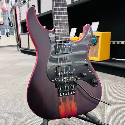SCHECTER SVSS EXOTIC ZIRICOTE