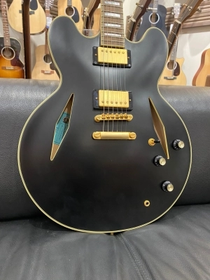 Epiphone - EMILY WOLFE SHERATON STEALTH 2