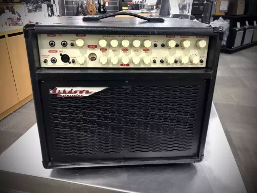 Ampli acoustique Ashdown - Radiator 2