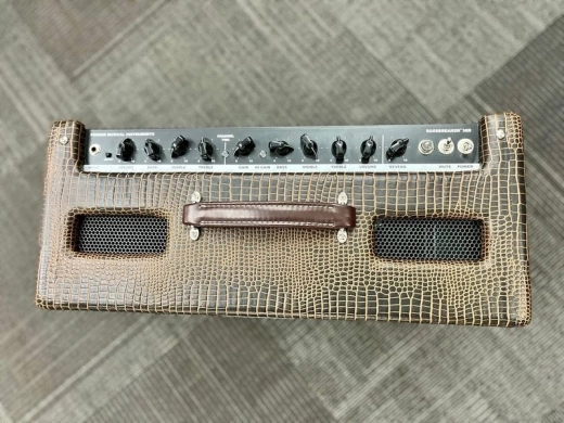 Fender Bassbreaker 30R Alligator 2