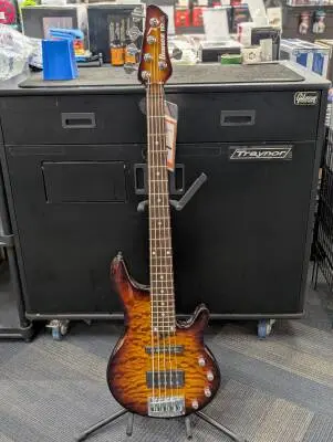 Ibanez Roadgear RD505