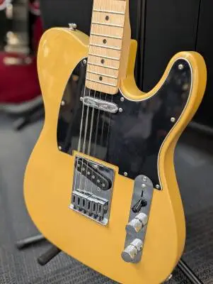 Squier - 037-8203-550