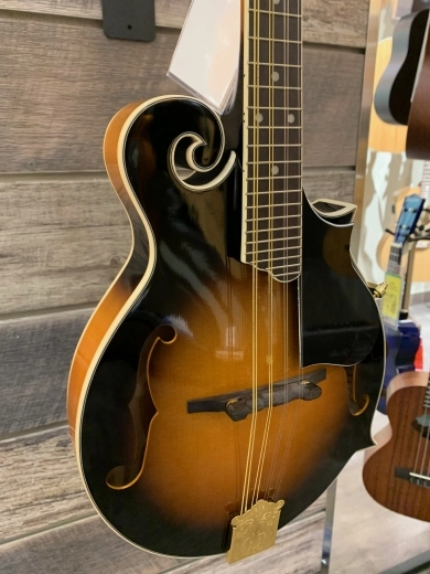 F-STYLE MANDOLIN 2