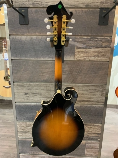 F-STYLE MANDOLIN 2