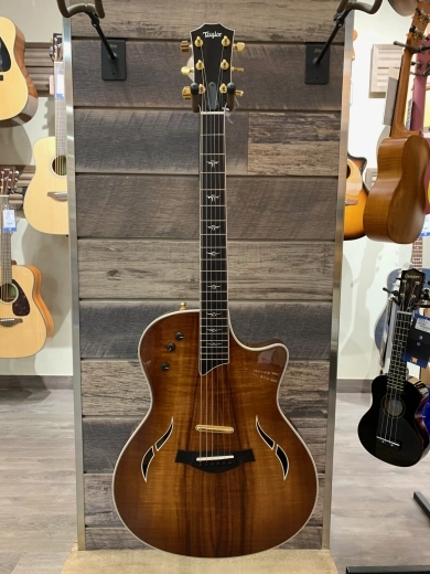 Taylor Guitars - T5Z CUSTOM KOA