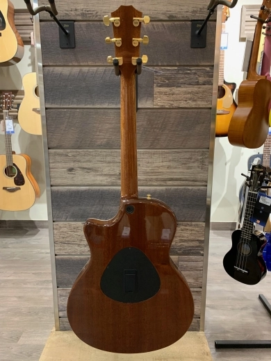 Taylor Guitars - T5Z CUSTOM KOA 2