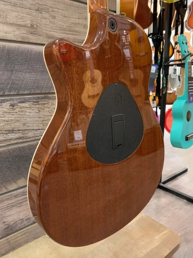 Taylor Guitars - T5Z CUSTOM KOA 2