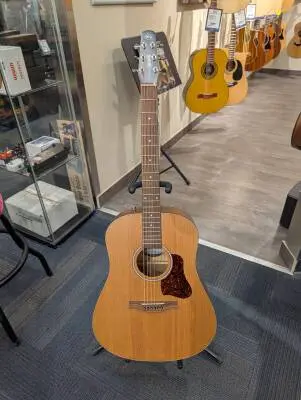 Seagull Guitars S6 ORIGINAL (ETUI TRIC