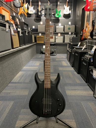 SCHECTER DV-4