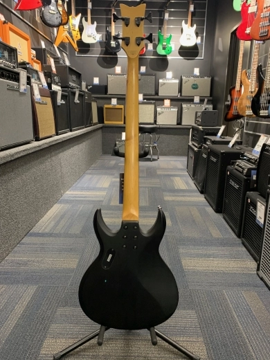 SCHECTER DV-4 4