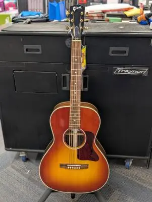 Gibson - ACMCSBLRRB