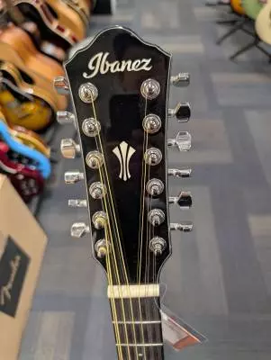 Ibanez - AEG5012DVH 2