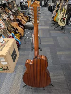 Ibanez - AEG5012DVH 2