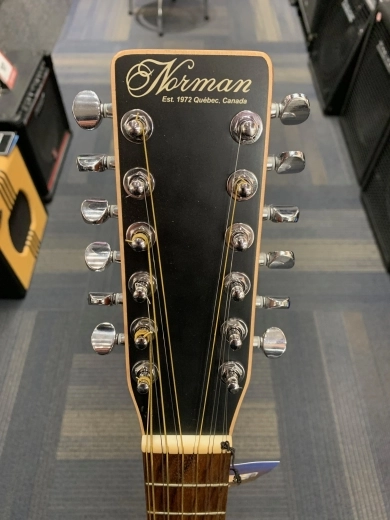NORMAN PROTEGE B18 12 CEDAR 3
