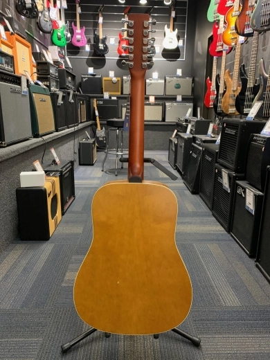 NORMAN PROTEGE B18 12 CEDAR 4