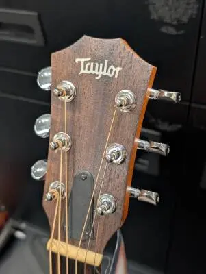 Taylor Guitars - GS MINI SAPELE 2