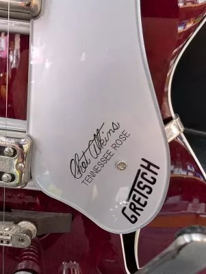 Gretsch Guitars -G6119 Chet Atkins Tennesse Rose 2
