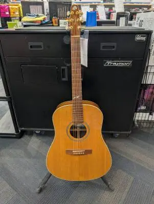 Seagull - Artist Studio 21819 (2007 Sans Electronic) Etui tric inclus