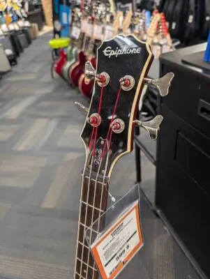 Epiphone - EBVIVSCH 2