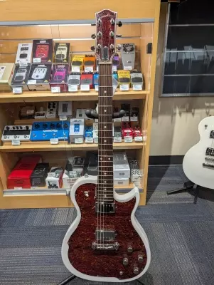 Godin Guitars - RADIATOR