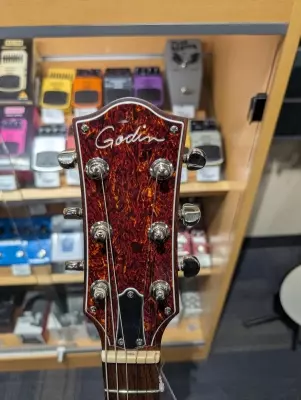 Godin Guitars - RADIATOR 2