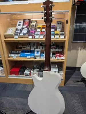 Godin Guitars - RADIATOR 2
