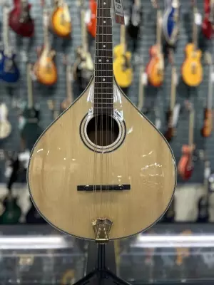 Gold Tone Octave Mandolin 2