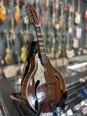 60s Hofner Model 545 Mandolin Left Handed 2