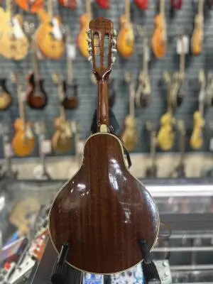 60s Hofner Model 545 Mandolin Left Handed 2