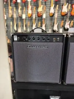 Traynor - YGL1 15 Watt Tube Guitar Amp