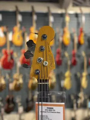 Fender - AM Pro II P Bass 2