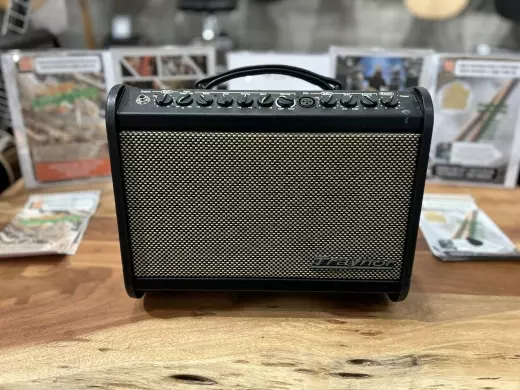 Traynor Acoustic Guitar Amp