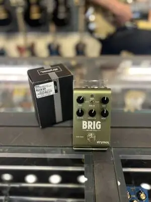 Strymon - Brigadir Multi-Voiced D-Bucket Delay