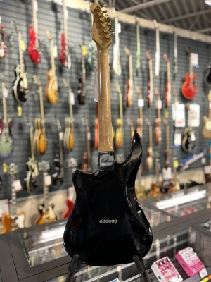 Godin G3000 2